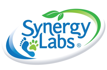 SYNERGY LABS